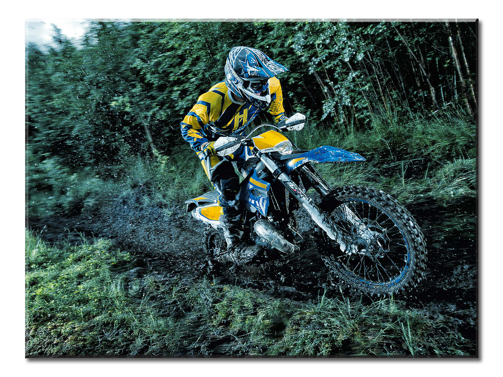 Dirt Bike - 1 panel