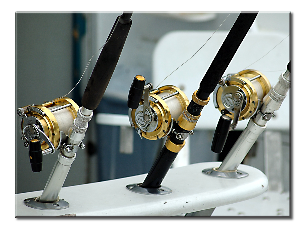 Three Fishing Rods - 1 Panel L