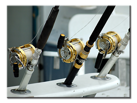 Three Fishing Rods - 1 Panel L