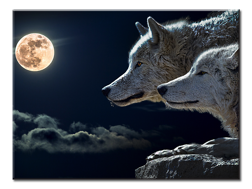 Wolves-Moon - 1 Panel XL