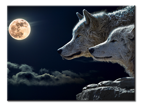 Wolves-Moon - 1 Panel XL