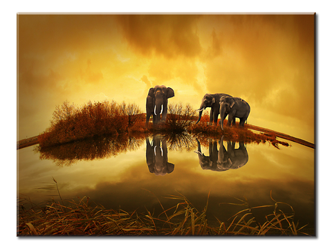 Elephants- Sunset - 1 Panel L