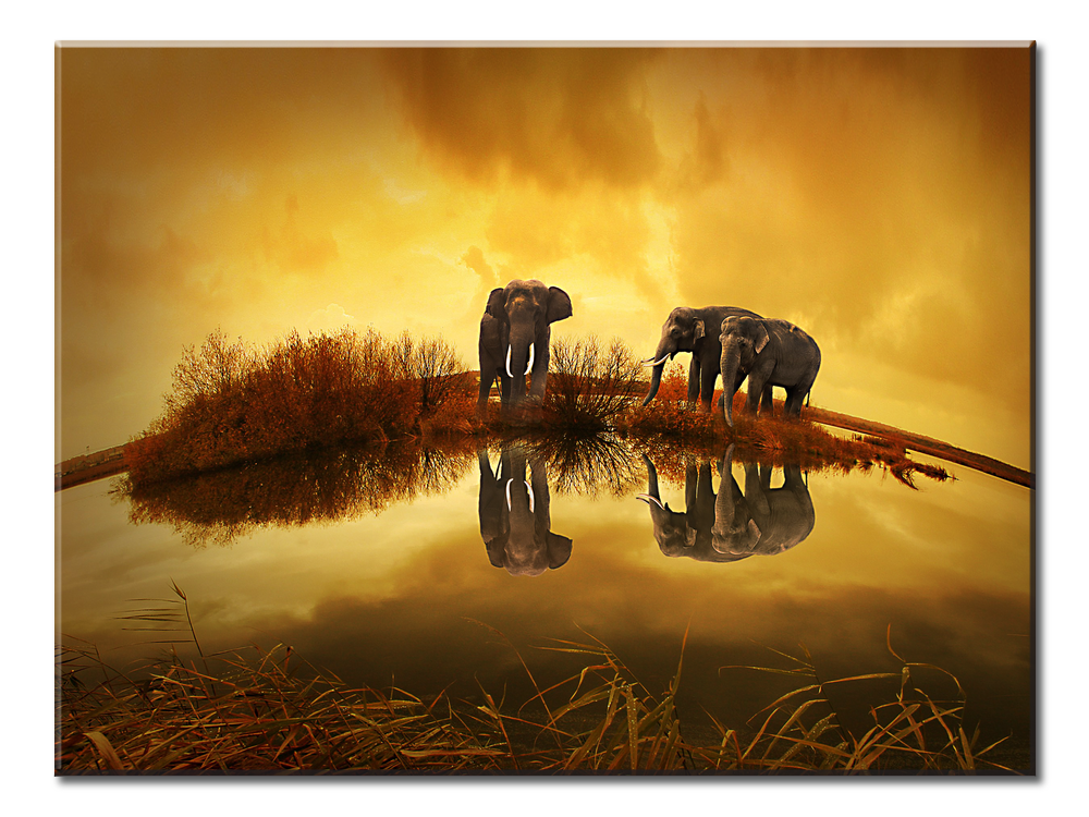 Elephants- Sunset - 1 Panel XL