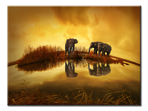 Elephants- Sunset - 1 Panel XL