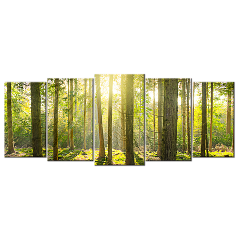Sunlight Penetrates The Forest - 5 Panels L