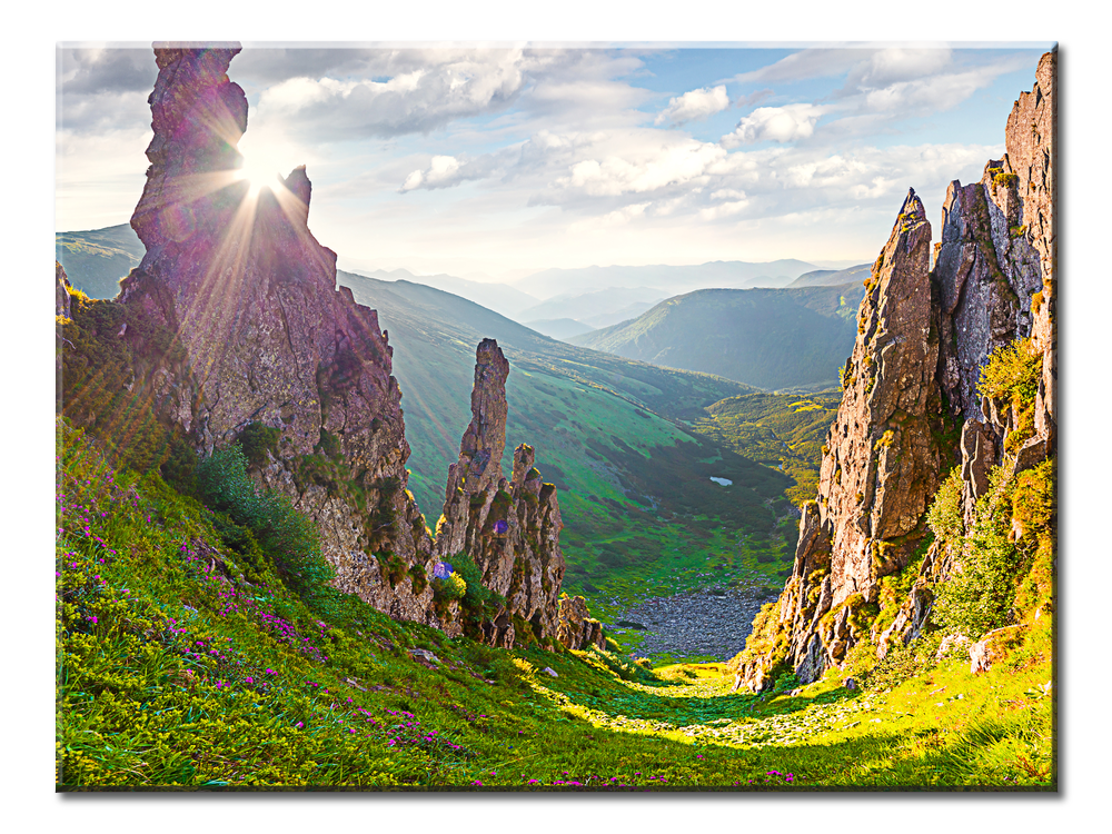 The Sun Shines - 1 Panel L