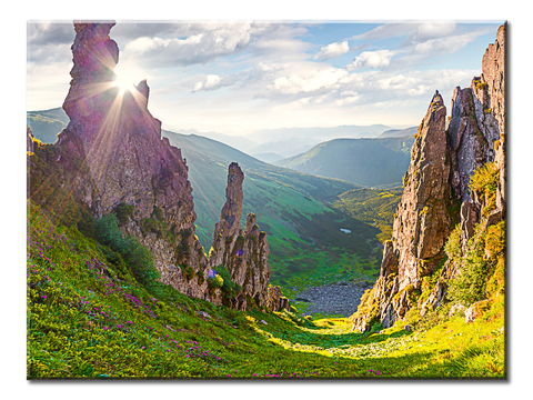 The Sun Shines - 1 Panel L