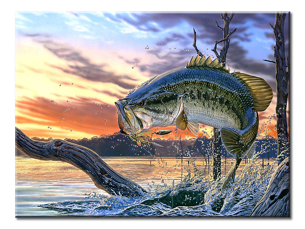 Bass Fish- 1 panel XL