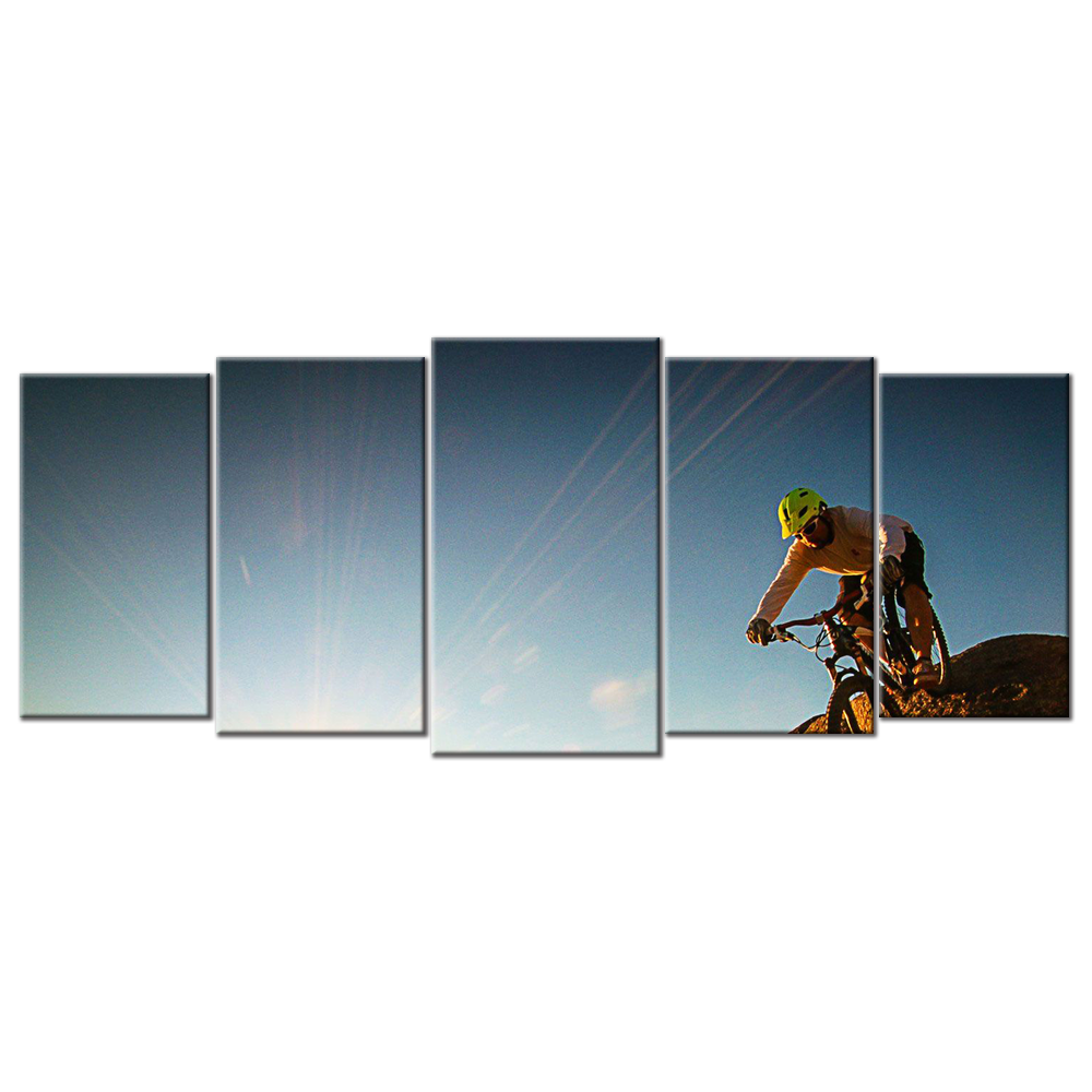 Mountain Bike  - 1 panel XL