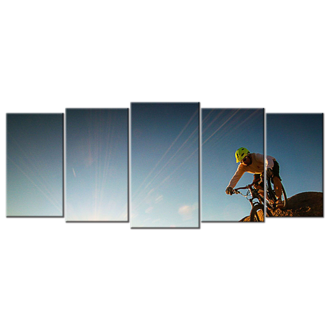 Mountain Bike  - 1 panel XL