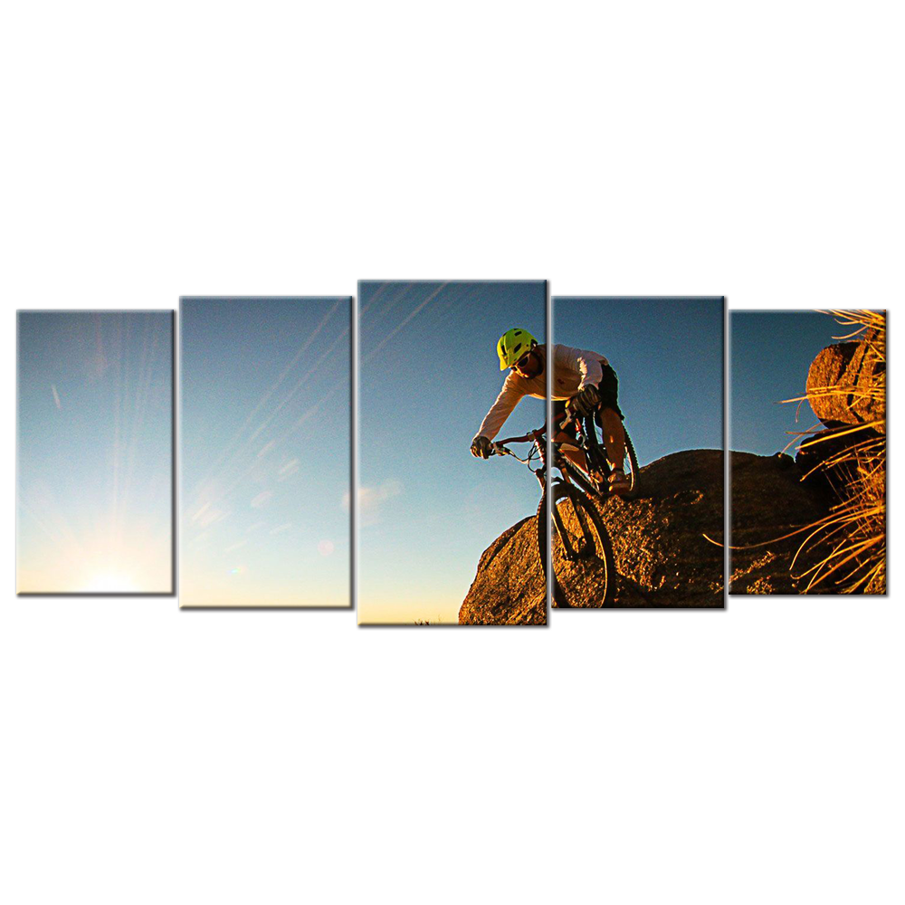 Mountain Bike  - 5 panels L