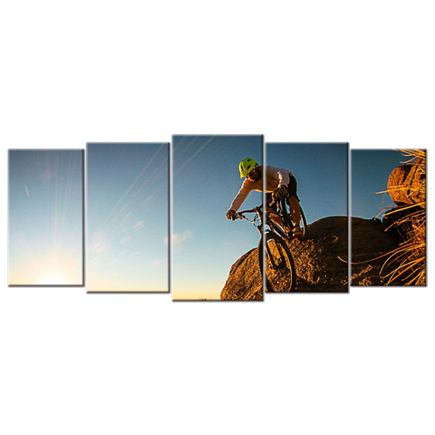 Mountain Bike  - 5 Panels XL