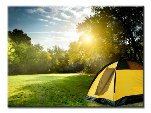 Camping Tents In The Forest - 1 panel