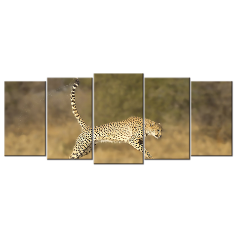 Cheetah - 5 panelS L