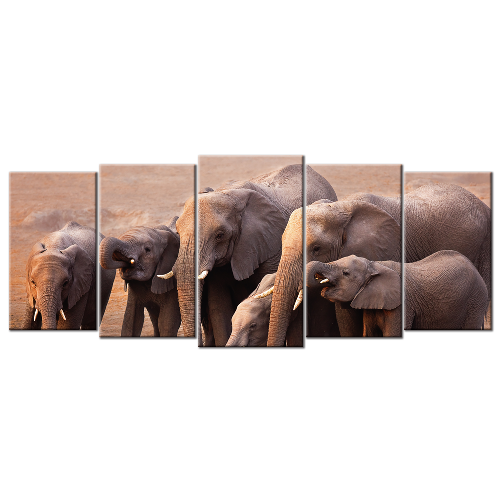 Elephants Drinking Water - 5 Panel L