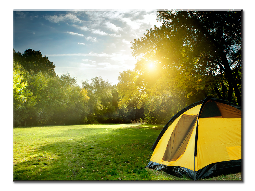 Camping Tents In The Forest - 1 panel XL