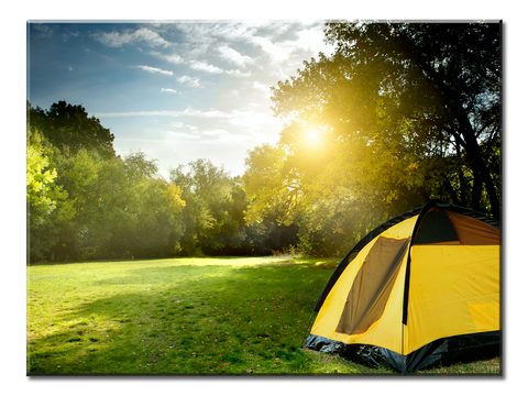 Camping Tents In The Forest - 1 panel XL