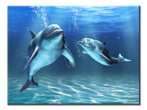 Two Dolphins - 1 Panel L