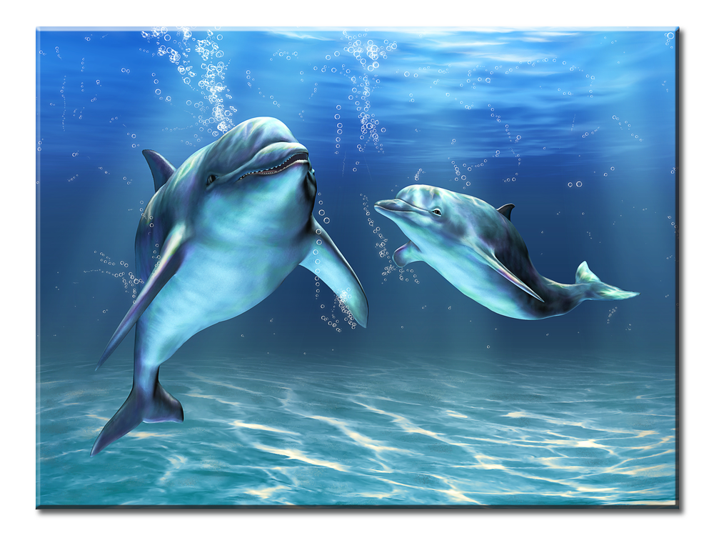 Two Dolphins - 1 Panel XL