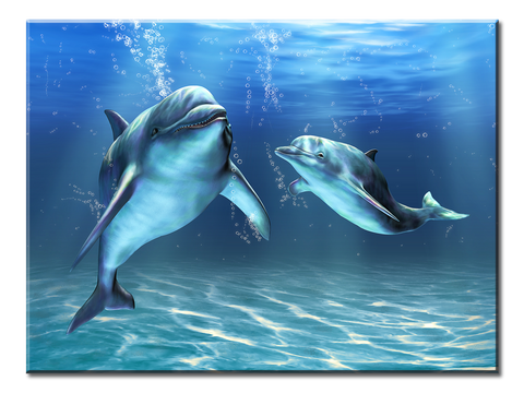 Two Dolphins - 1 Panel XL