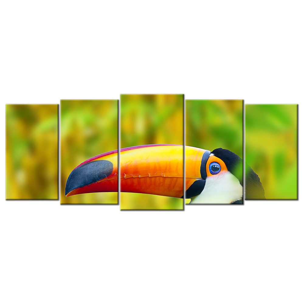 Wild Bird - 5 Panels XL