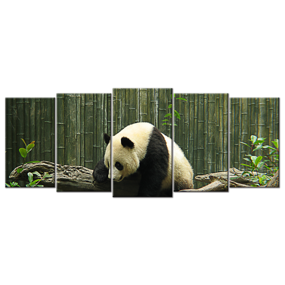 Zoo Panda - 5 Panels XL