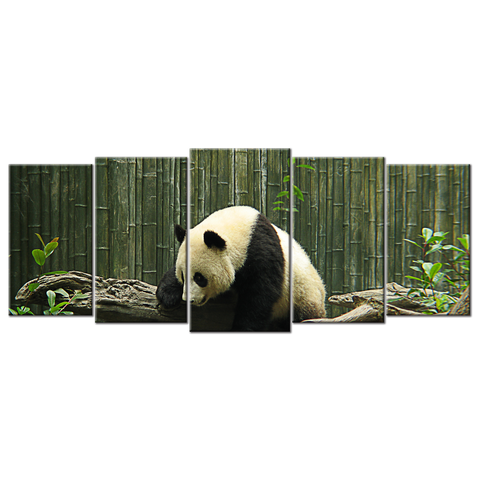 Zoo Panda - 5 Panels XL