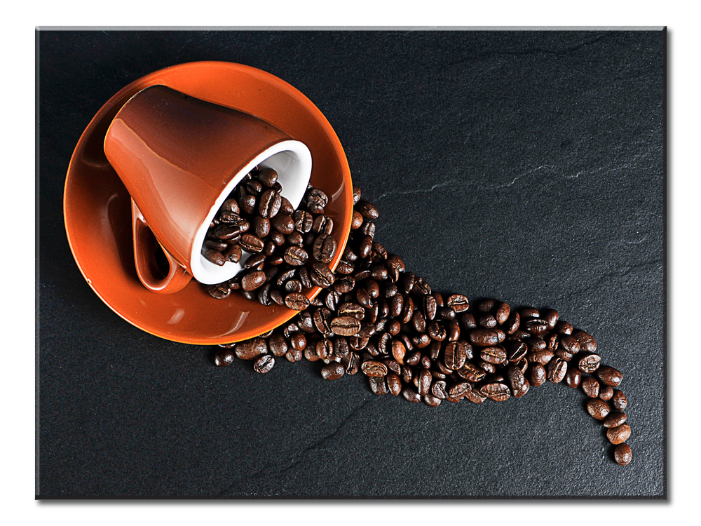 Coffee Beans - 1 Panel XL