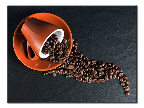Coffee Beans - 1 Panel XL