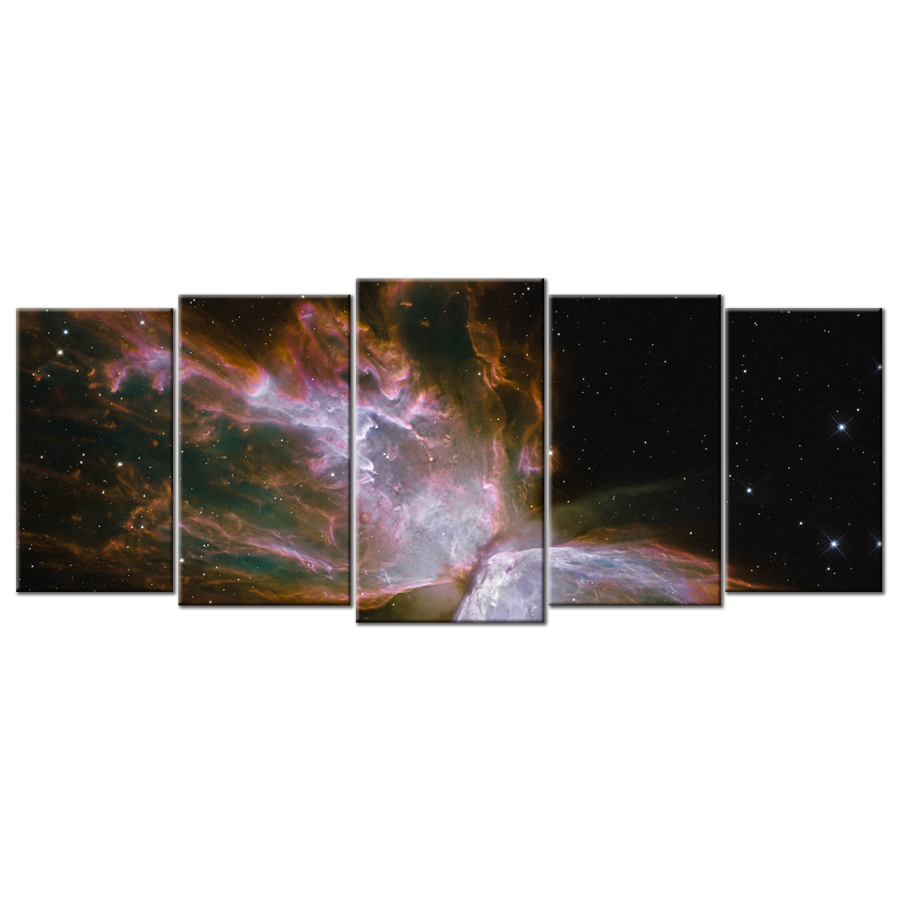 Butterfly Nebula - 5 panels