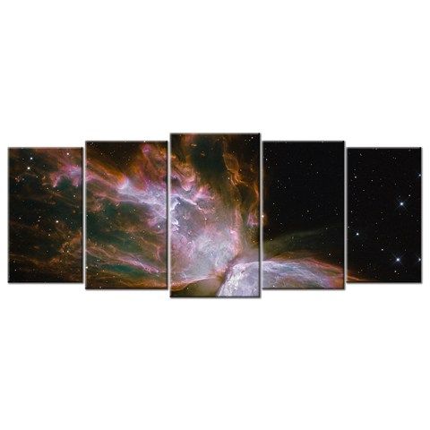Butterfly Nebula - 5 panels