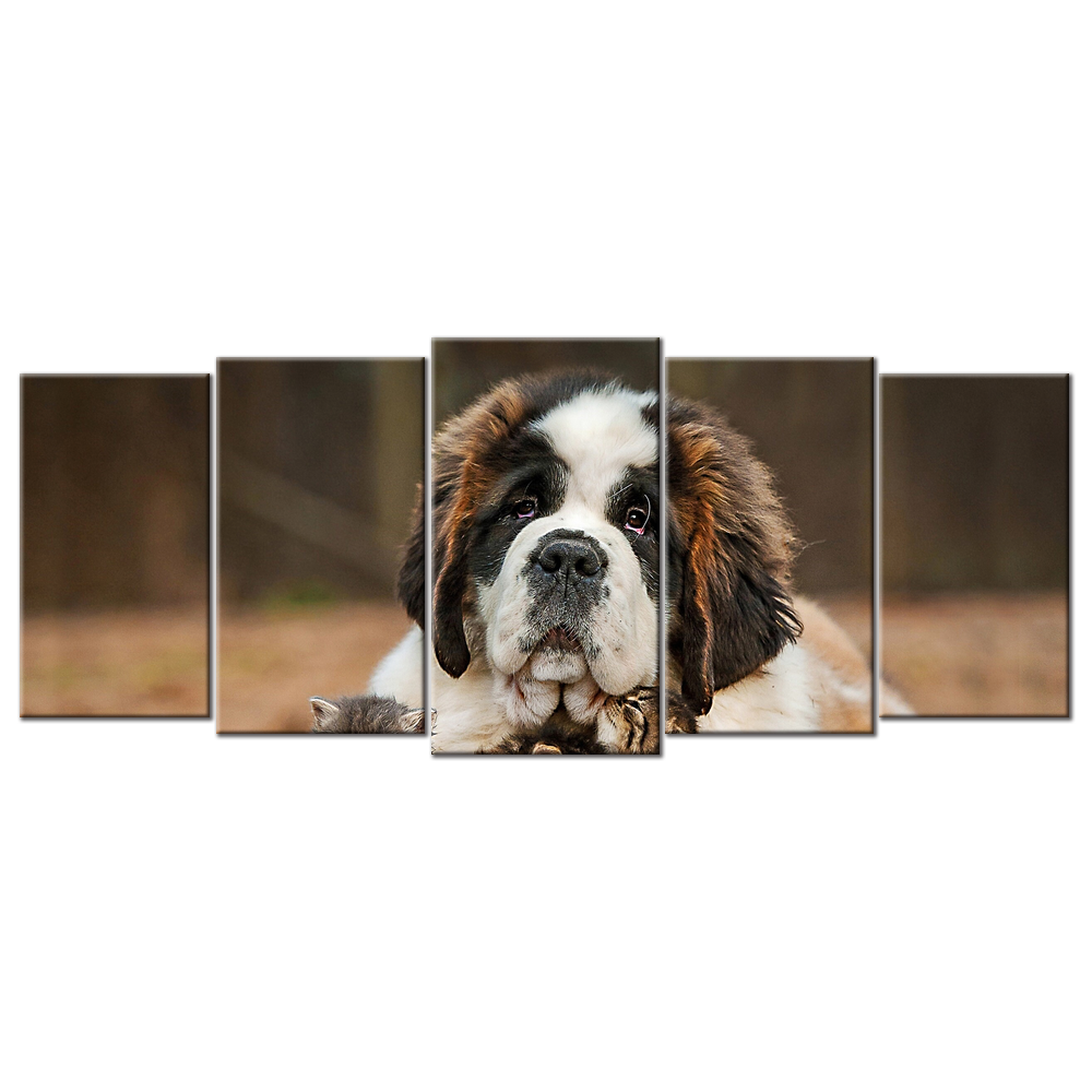 Saint Bernard Dog Kitten Puppy - 5 Panel L