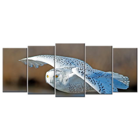 White Owl - 5 Panels XL