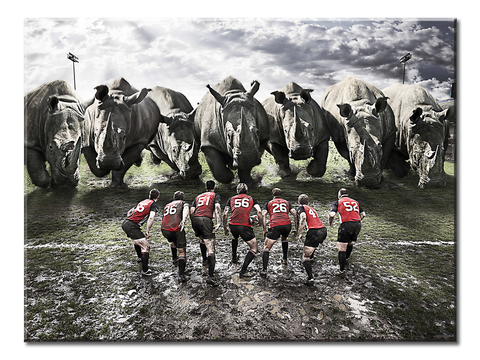 Rugby Team Rhinos Dirt Field - 1 Panel XL