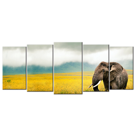 Elephant Grass Field Walk Sky Beautiful Scenery - 5 panels L