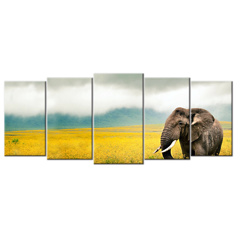 Elephant Grass Field Walk Sky Beautiful Scenery - 5 panels XL