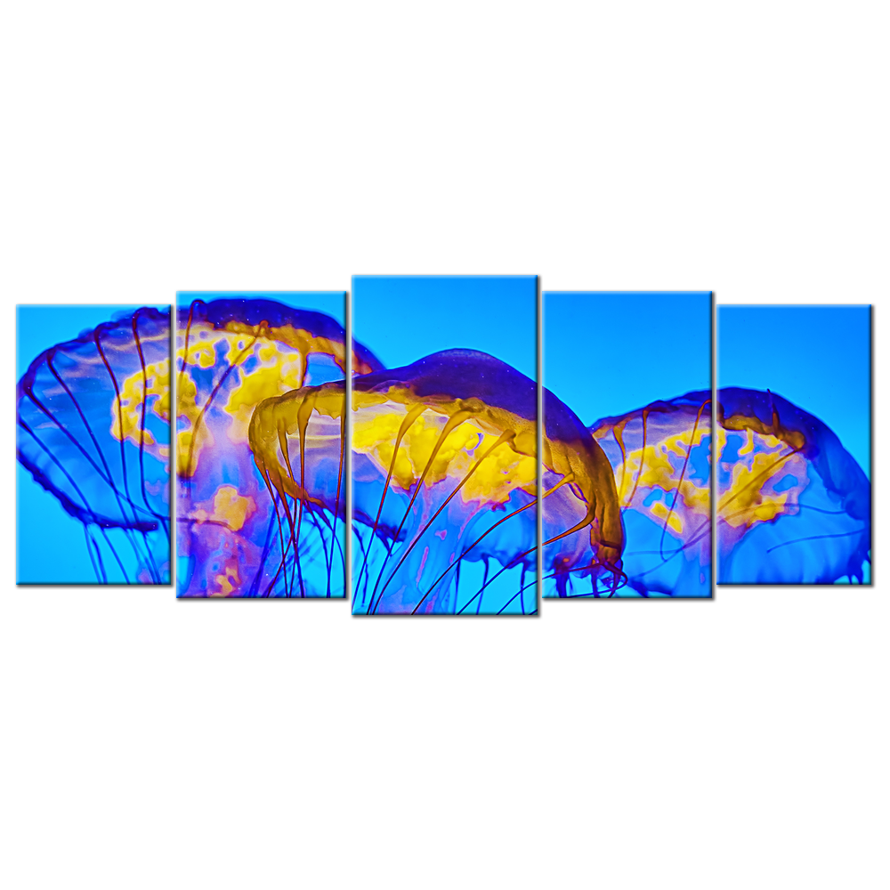 Beautiful Tube Jellyfish - 5 panels L