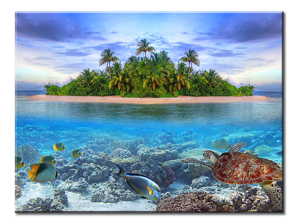 Sea Islands And The Underwater - 1 panel XL