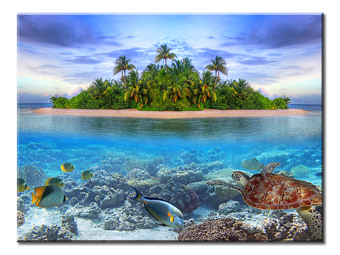 Sea Islands And The Underwater - 1 panel XL