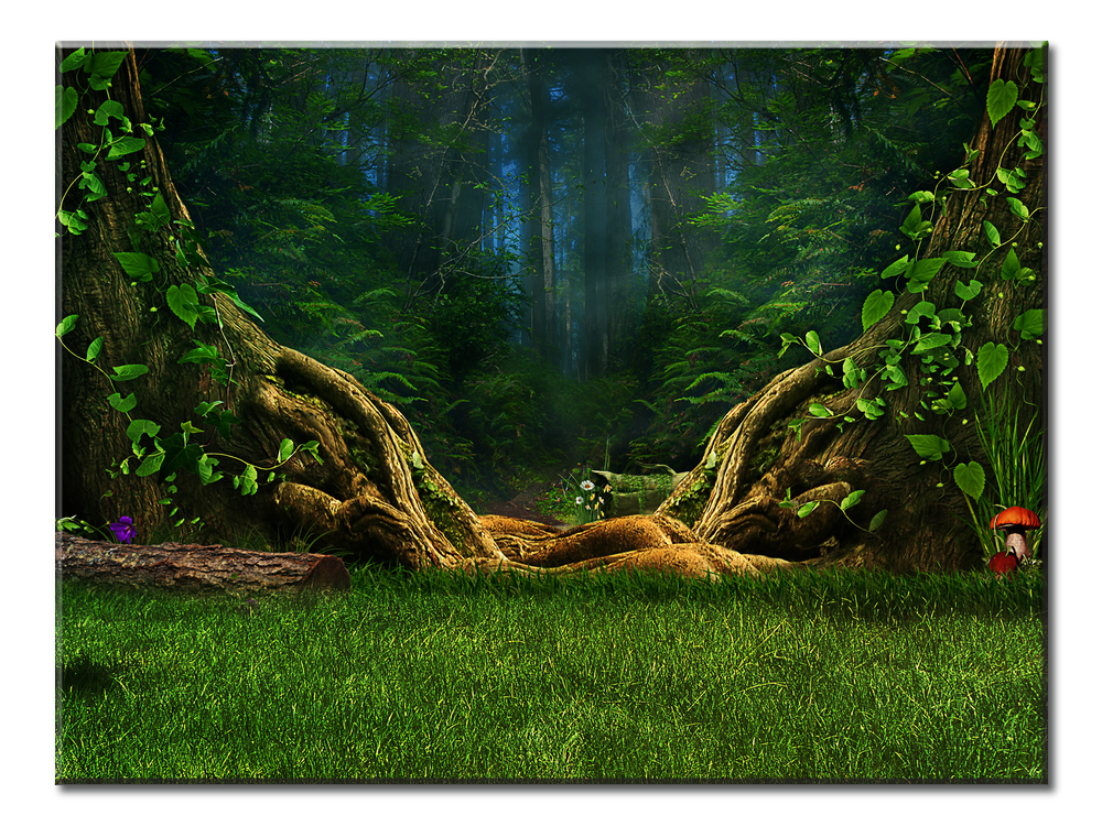 Mysterious Forest - 1 Panel L