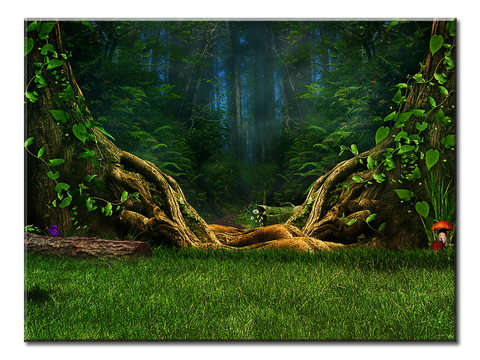 Mysterious Forest - 1 Panel L