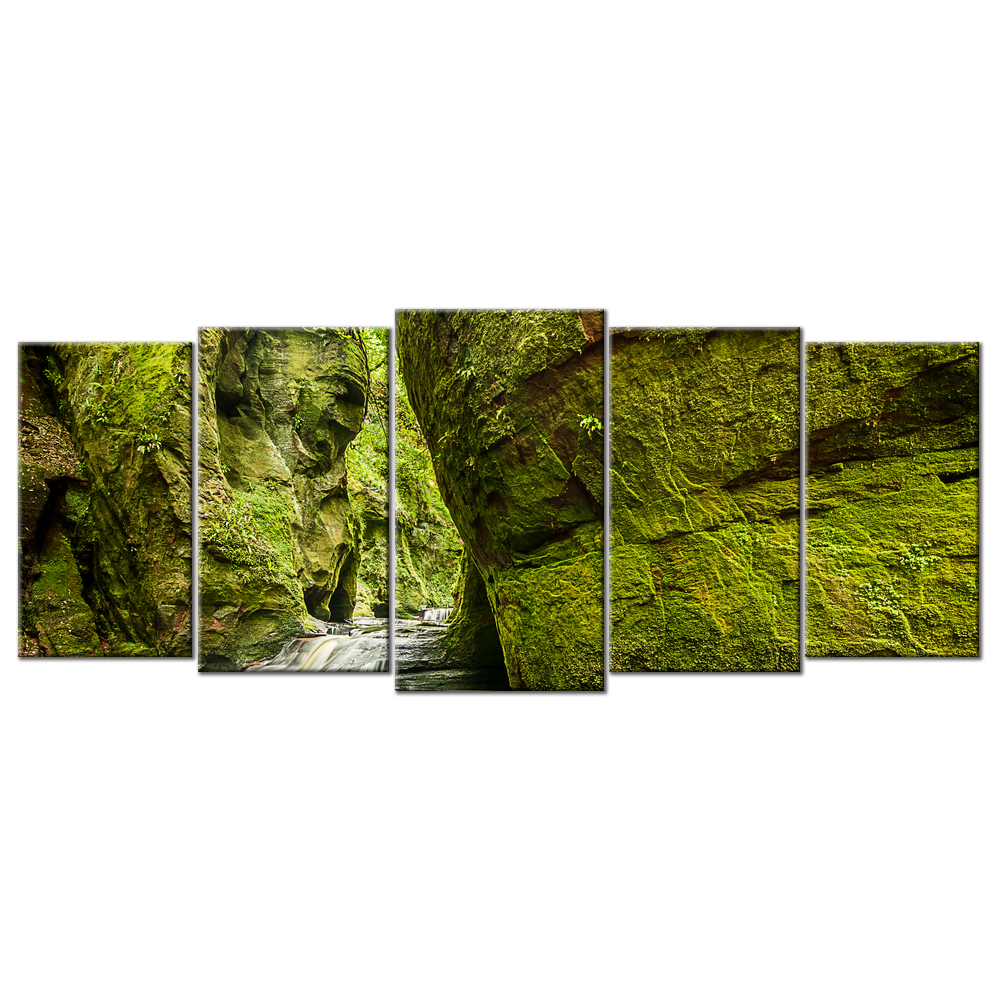 Natural Beauty - 5 panels XL