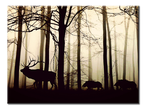 Forest Fog Wild Boar - 1 panel XL