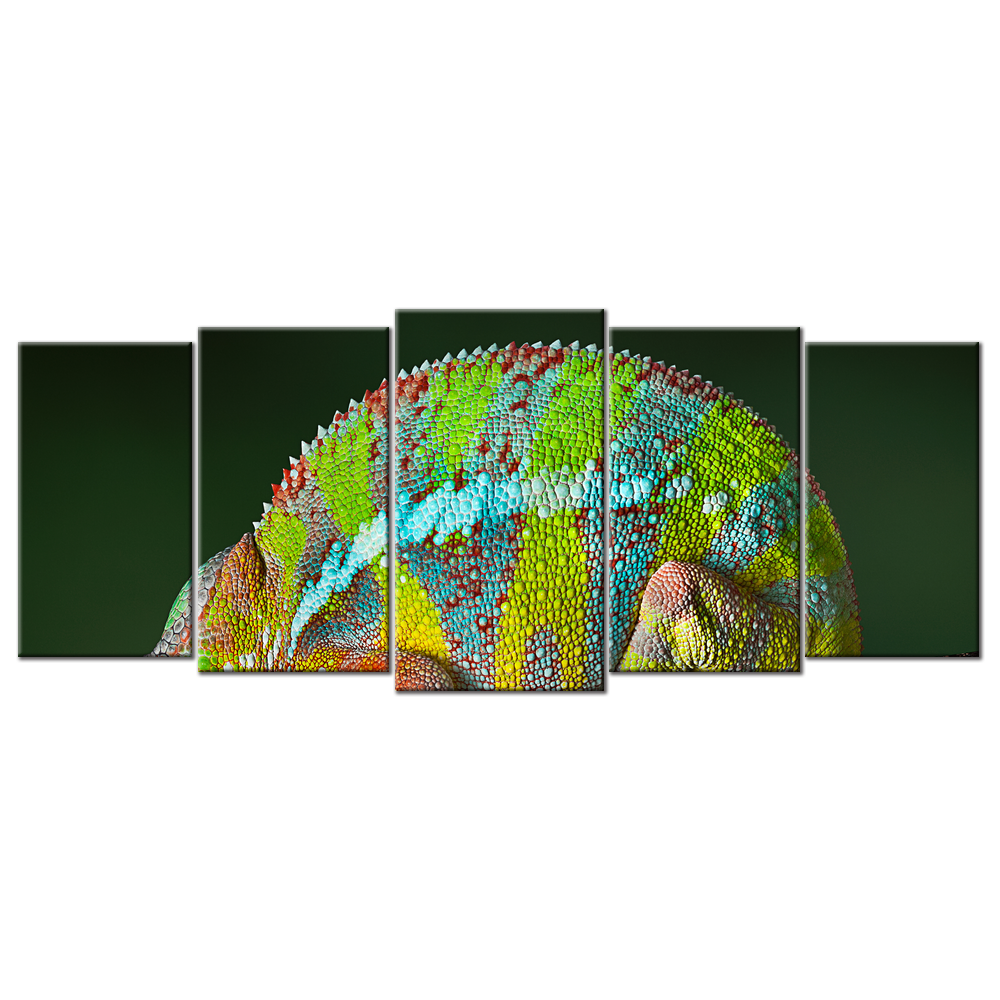 Sleeping Chameleon - 5 panels XL