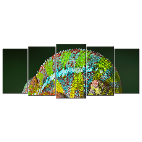 Sleeping Chameleon - 5 panels XL