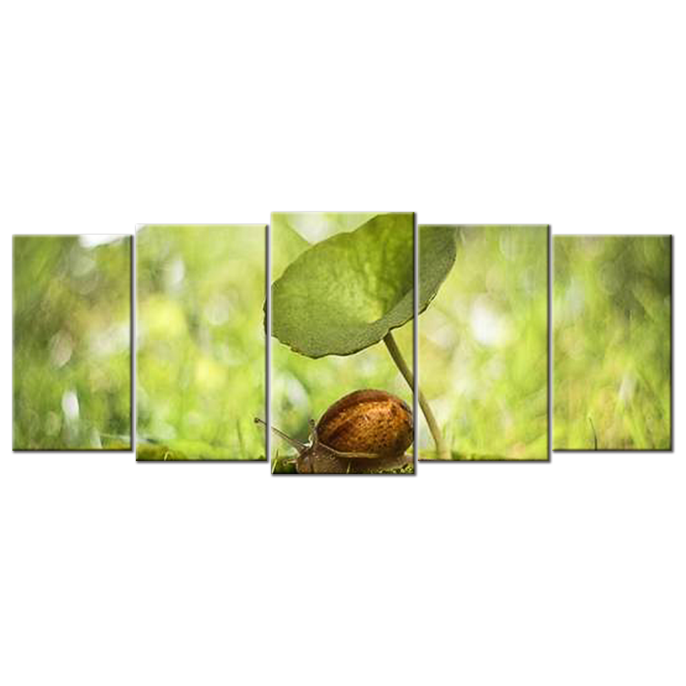 Snail And Plant Leaves - 5 panels XL