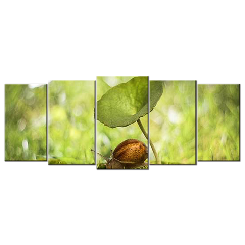 Snail And Plant Leaves - 5 panels XL