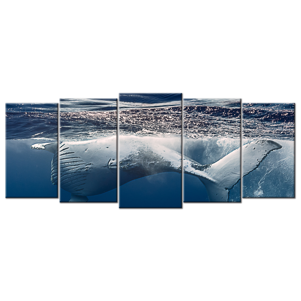 Humpback Whales - 5 panels XL
