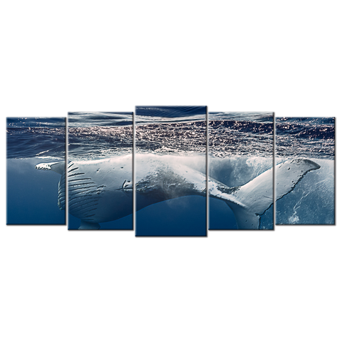 Humpback Whales - 5 panels XL