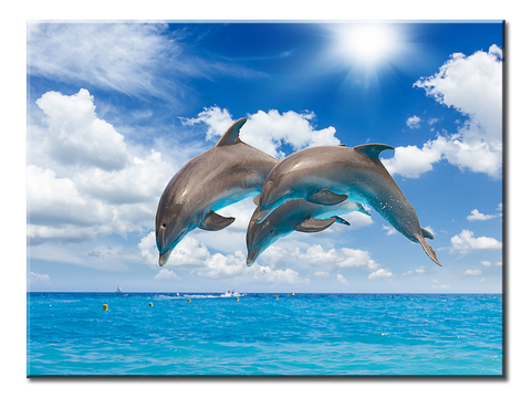 Jumping Dolphins - 1 panel XL